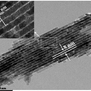 Tem Images Of Mesoporous Co O Nanowires The Inset Was Enlarged