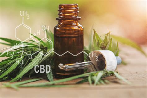 ¿qué Es El Cbd Cbdarium