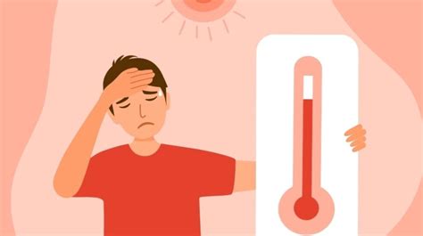 Golpes De Calor En Esta Temporada ¡aquí Te Dejamos Los Síntomas Y Cómo