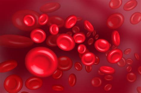 Premium Photo Illustration Of Red Blood Cells Erythrocytes In Motion