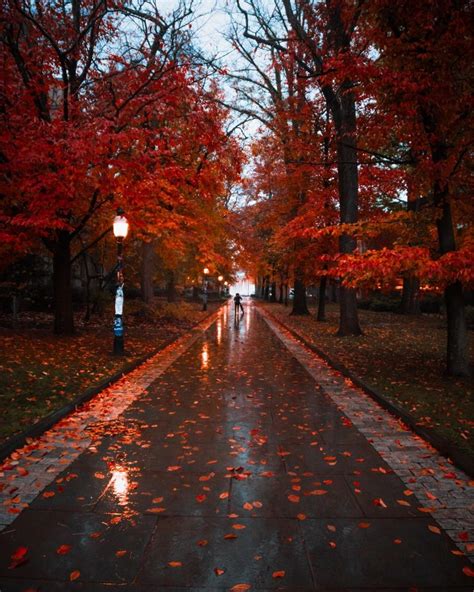 A rainy fall day at Princeton : r/MostBeautiful