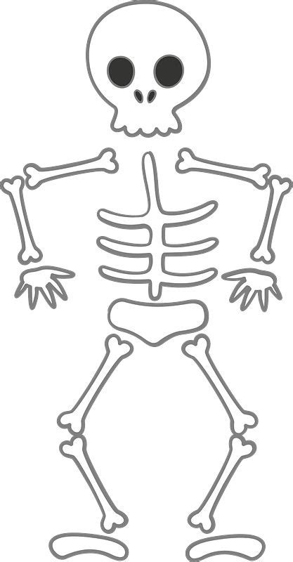 Skeleton clipart. Free download transparent .PNG | Creazilla | Skeleton ...