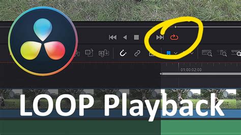 Davinci Resolve Quicktorial How To Use Loop Playback Youtube