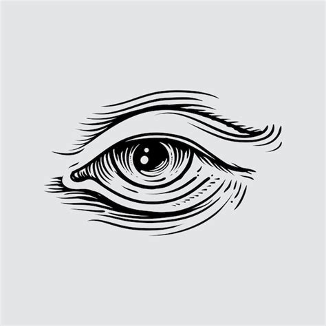 Premium Vector Illustration Of Human Eye In Engraved Style