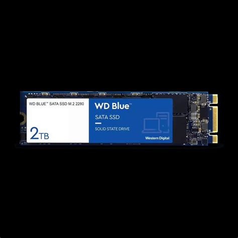 M.2 2280 WD Blue SATA SSD at Rs 9000/piece | Tribhuwan Marg , Grant ...