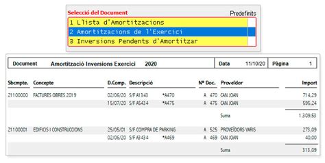 Conta Programa De Comptabilitat I Fiscalitat Per Empreses I Assessories