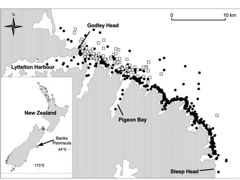 Map Showing Locations Of Hectors Dolphin Cephalorhynchus Hectori