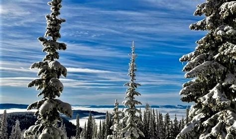 SilverStar Mountain Resort heads into extended week with 15 cm snow day | Globalnews.ca