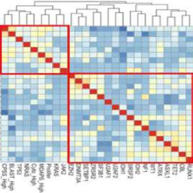 Unsupervised Clustering Of Correlation Matrix Between Mutations And