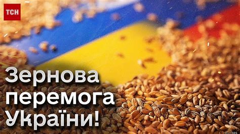 👏 ЄС розблокував імпорт українського зерна - YouTube