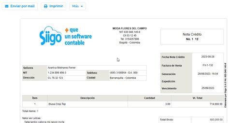 Elaborar nota crédito Portal de Clientes Siigo Software Contable y