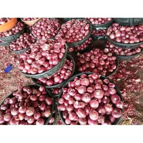 A Grade Organic Red Onion Packaging Size 20 50 Kg Gunny Bag At Rs 15