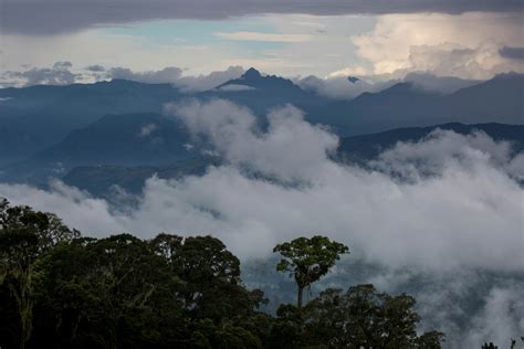 Top Papua New Guinea Experiences Lonely Planet