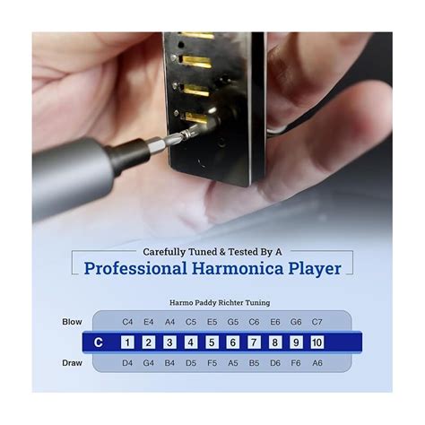 Paddy richter harmonica - Harmo Polar special tuning harmonica