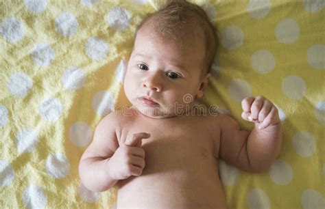 Newborn Baby Girl Lying On Her Stomach Stock Photo Image Of