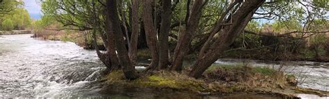 Twizel Walkway, Canterbury, New Zealand - 71 Reviews, Map | AllTrails