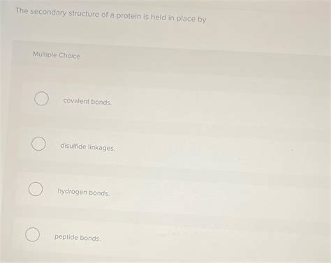 Solved The secondary structure of a protein is held in place | Chegg.com