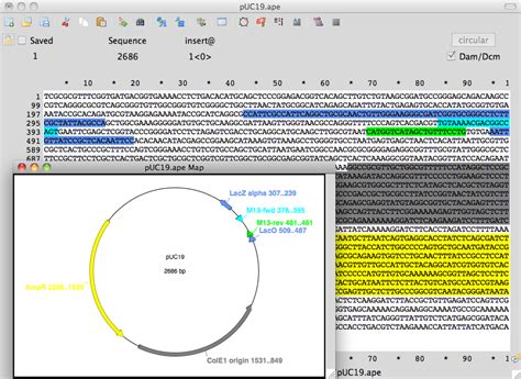 Convert Ape Files To Snapgene Dna Format Snapgene