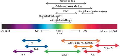 Figure From Quantum Dots For Molecular Diagnostics Of Tumors