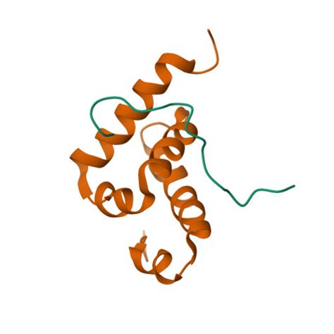 RCSB PDB - 2RQG: Structure of GSPT1/ERF3A-PABC