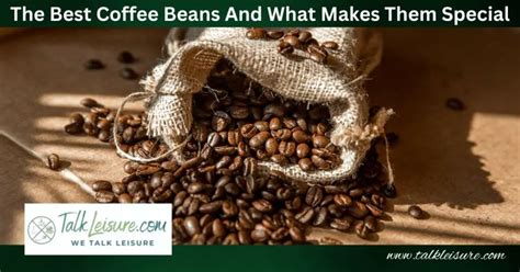 The Top 5 Countries With The Best Coffee Beans And What Makes Them