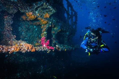 HMAS Brisbane Dive | Scuba World