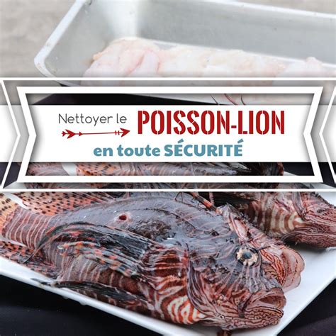 Nettoyer Le Poisson Lion En Toute SÉcuritÉ Démonstration Dun Chef