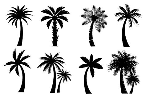 Coconut Trees Silhouette Stock Illustration Download Image Now