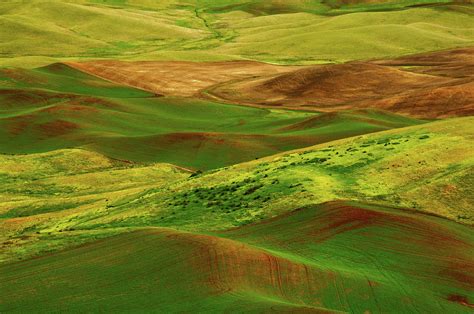 Palouse View From Steptoe Butte Photograph By Michel Hersen Fine Art