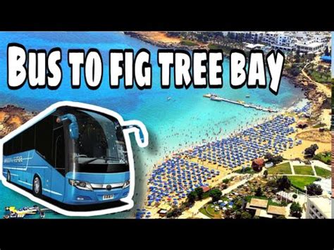 Bus Ride From AYIA NAPA NISSI BEACH To FIG TREE BAY PROTARAS YouTube