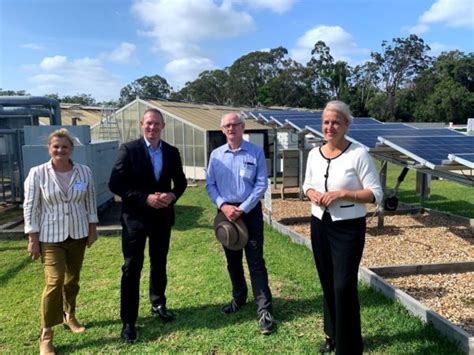 Solar Citizens Warns Controversial ‘sun Tax Shapes As Threat To Nem