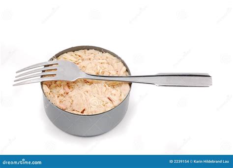 tuna  stock photo image  canned food lunch open