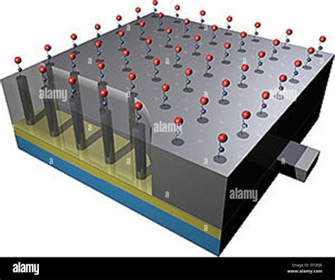 Carbon Nanotube Sensor Stock Photo - Alamy