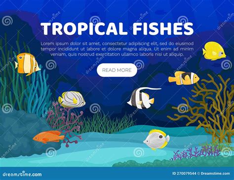 Tropical Fish Banner Design with Swimming Marine Creature Vector ...