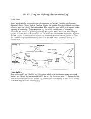 SBI 3U Dichotomous Key Assignment Pdf SBI 3U Using And Making A