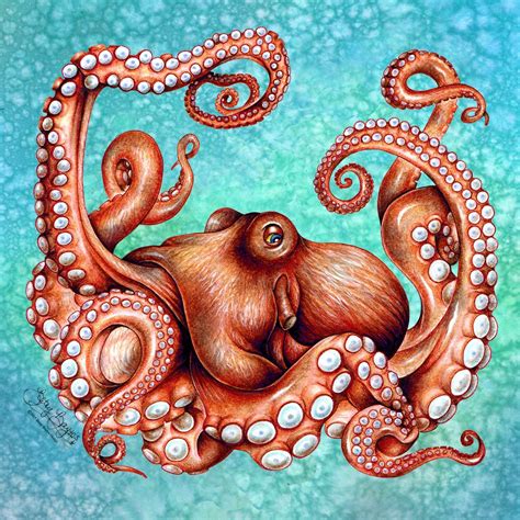 Kraken Octopus Art Canvas Print - Etsy