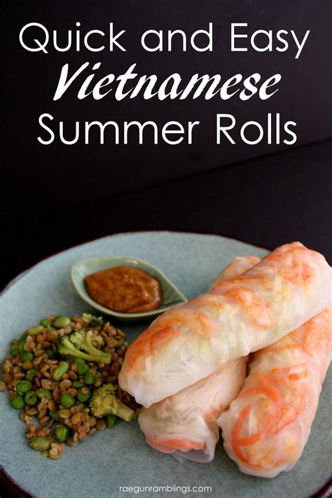 Vietnamese Summer Rolls Recipe - Rae Gun Ramblings