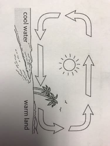 Convection Currents Flashcards Quizlet