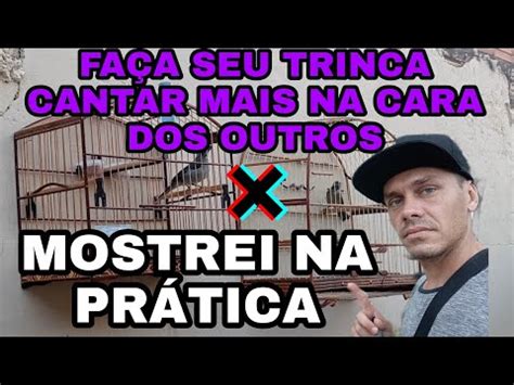 NA PRÁTICA COMO AUMENTAR o CANTO do seu TRINCA FERRO