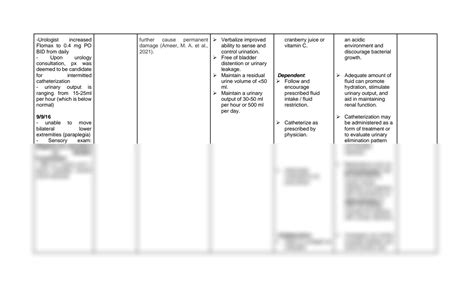 Solution Nursing Nursing Care Plan Of Impaired Urinary Elimination Ncp