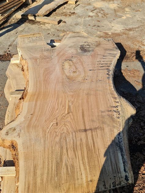 Dąb jesion blat drzewo kłoda stół monolit wood oak Warszawa Ursynów