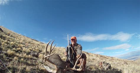 Hunting Points and Trophy Tails: Nevada Mule Deer Landowner Tags Now Available!