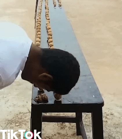 Random As Fuck GIFs Get The Best On GIPHY