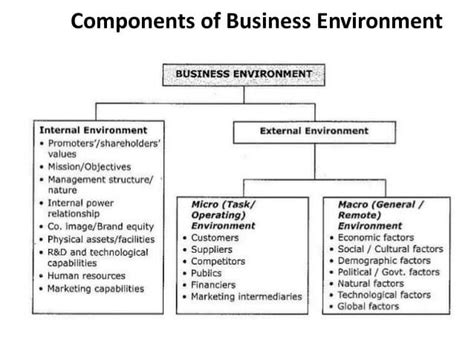 Internal And External Environment Of Business