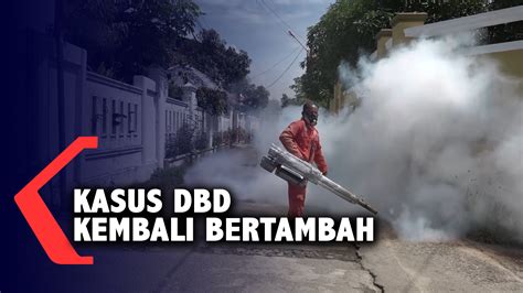 Berita Harian Fogging Aceh Terbaru Hari Ini Kompas