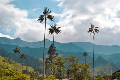 Cocora Valley. on Behance