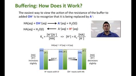 Acid Base Equilibria Buffer Solution Youtube