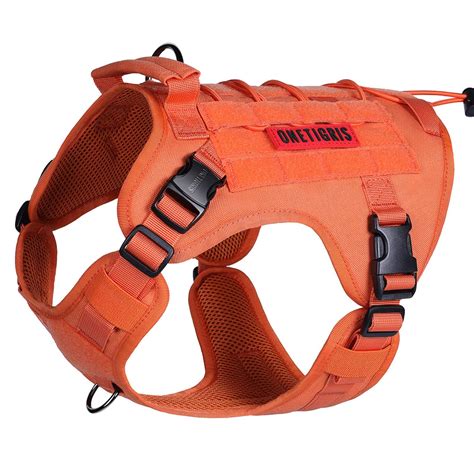 Dog Safety Harness Orange at Mitchell Dorgan blog