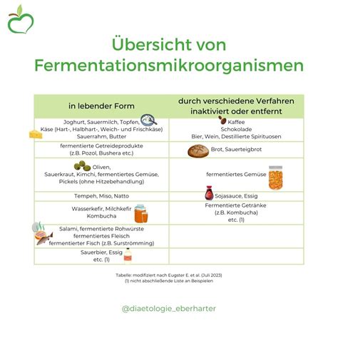 Diy Fermentieren Das Wichtigste Im Berblick Diaetologie Eberharter