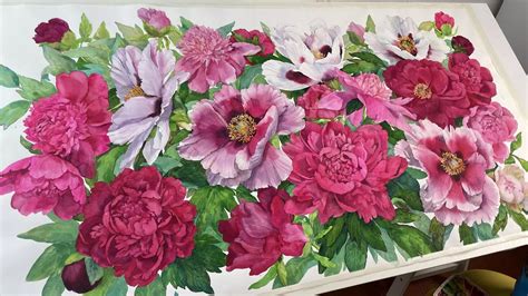 Watercolor Janet Pulcho Pink Poppies Hydrangea Fig Peonies White